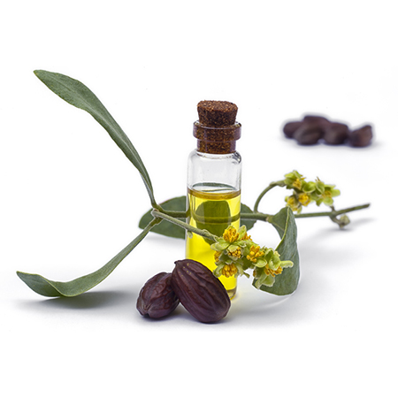 jojoba ©Sol Santos